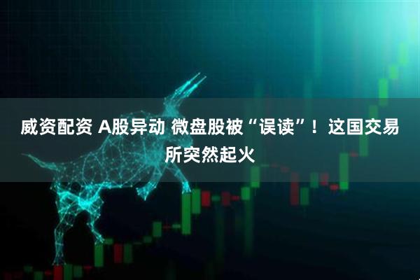 威资配资 A股异动 微盘股被“误读”！这国交易所突然起火