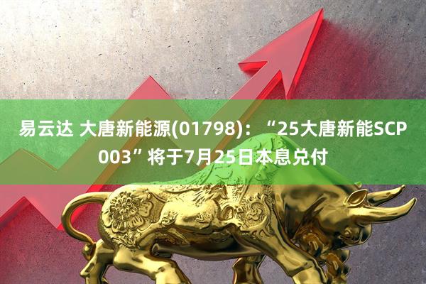 易云达 大唐新能源(01798)：“25大唐新能SCP003”将于7月25日本息兑付